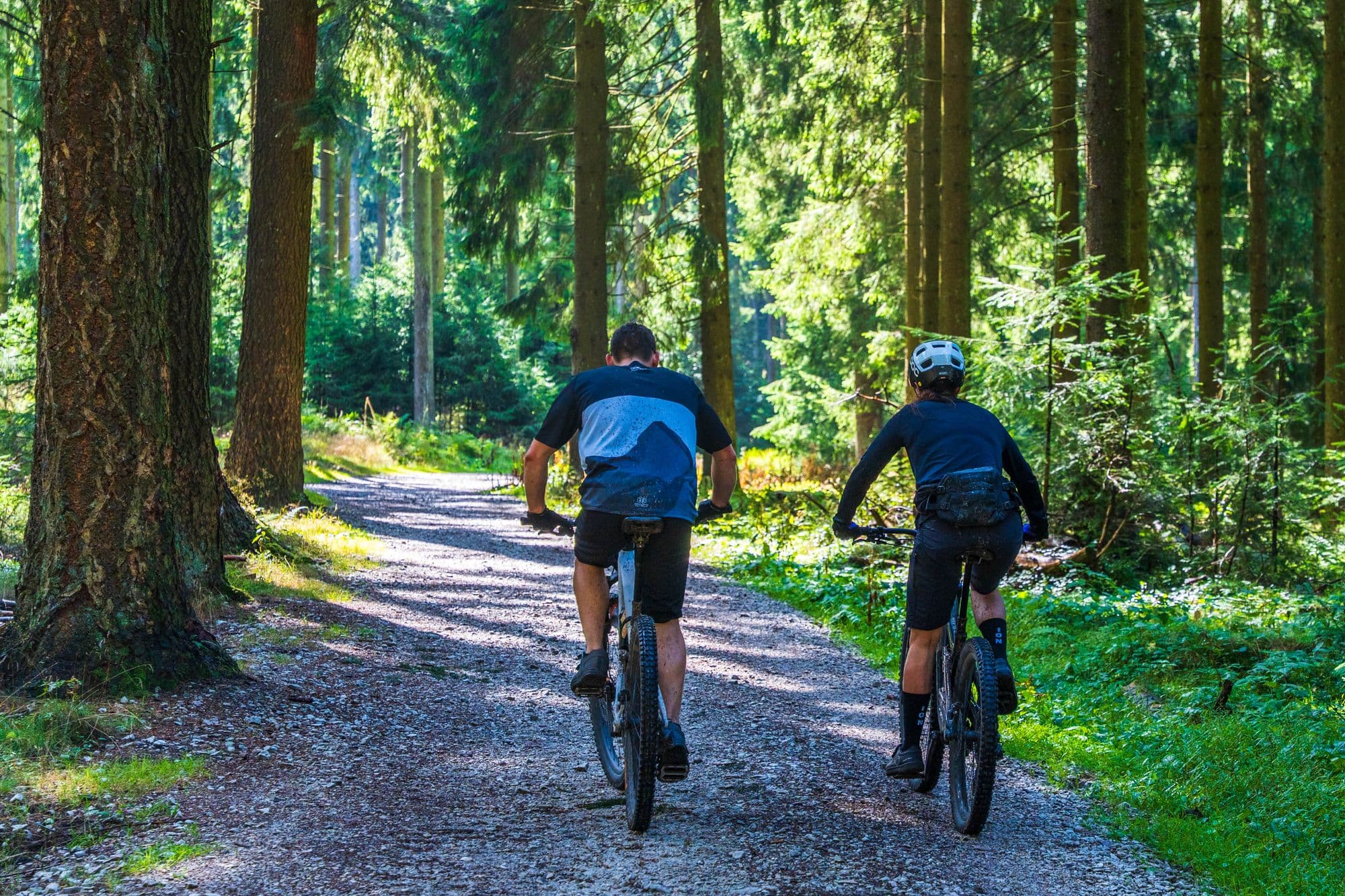 MTB